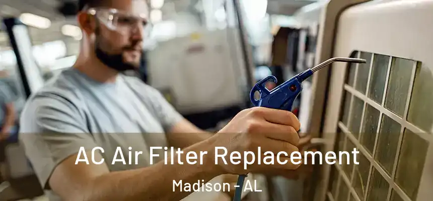  AC Air Filter Replacement Madison - AL
