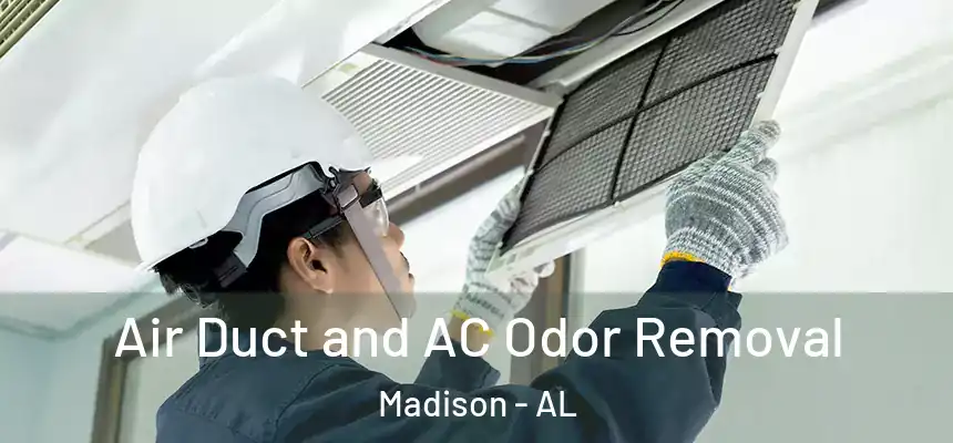  Air Duct and AC Odor Removal Madison - AL