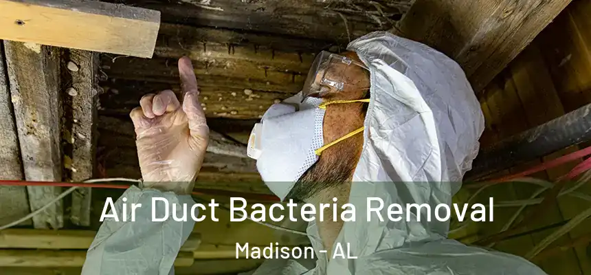  Air Duct Bacteria Removal Madison - AL