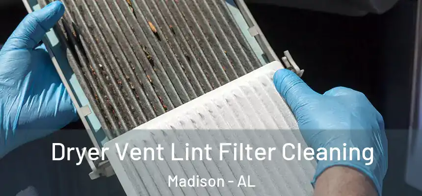 Dryer Vent Lint Filter Cleaning Madison - AL