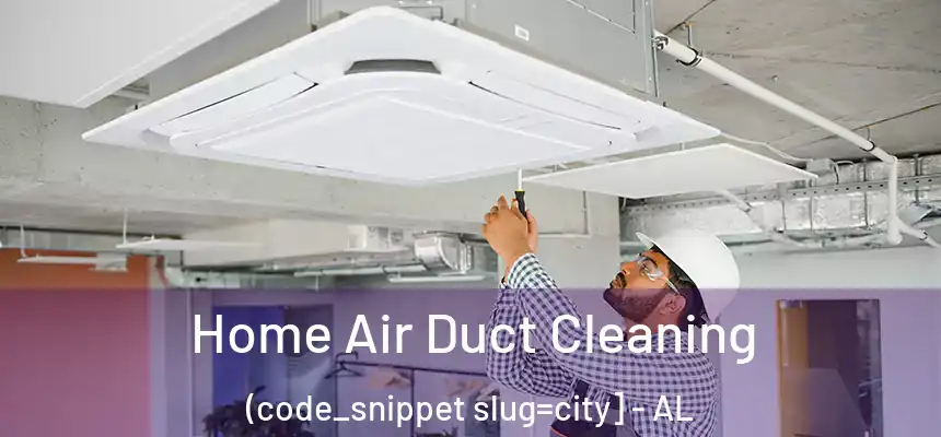  Home Air Duct Cleaning (code_snippet slug=city] - AL