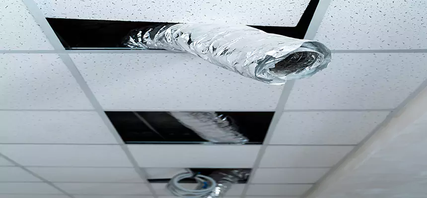 Our Air Duct Pet Hair Removal Services in Madison, AL