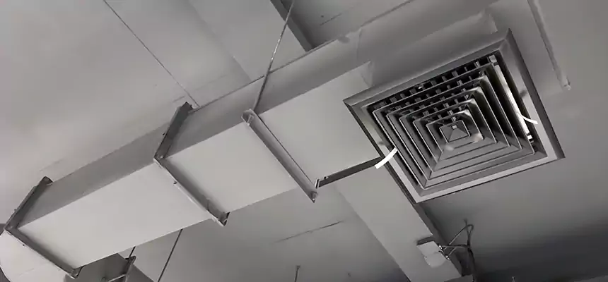 Our Pest Removal From Ducts Services in Madison, AL