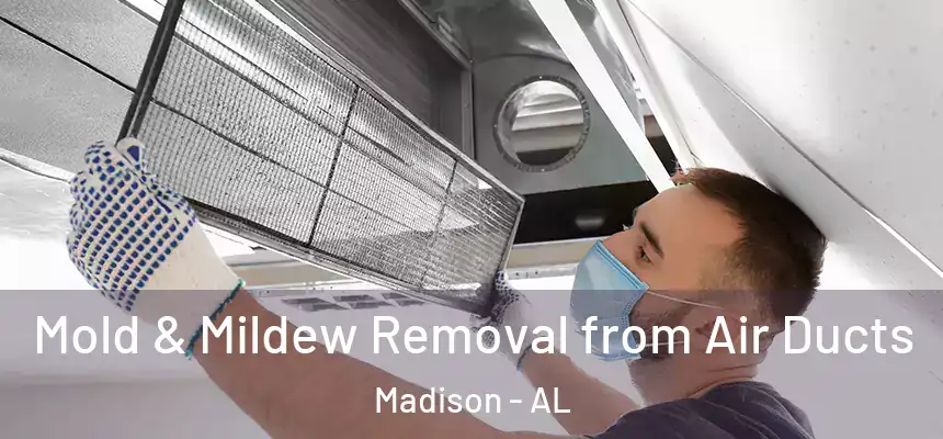  Mold & Mildew Removal from Air Ducts Madison - AL