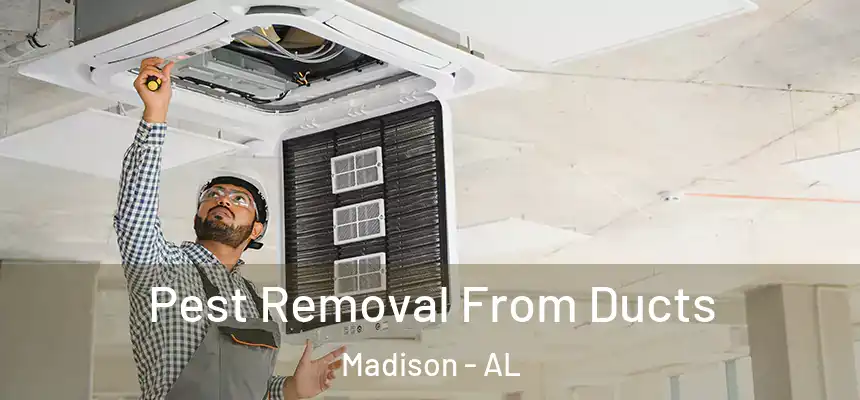  Pest Removal From Ducts Madison - AL