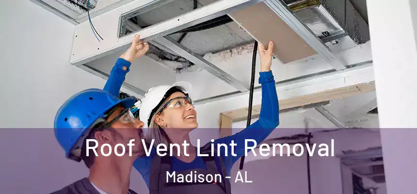  Roof Vent Lint Removal Madison - AL