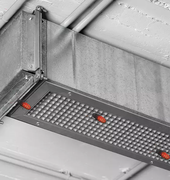 About Air Duct Cockroach Removal in Madison, AL
