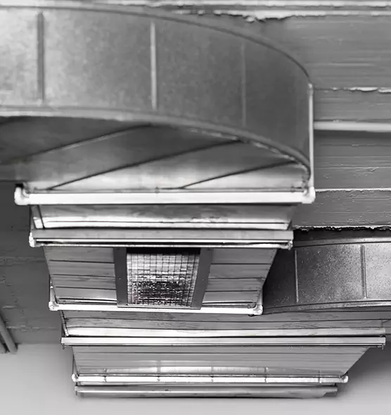 Professional Air Duct Pet Hair Removal in Madison, AL