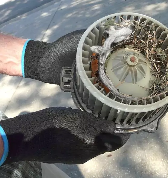 About Air Duct Rat Removal in Madison, AL