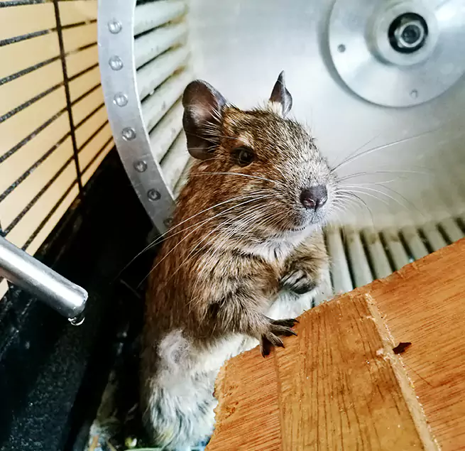 Why Homeowners & Businesses Trust Us Madison, AL?