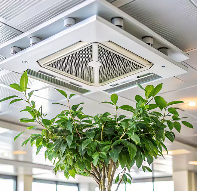 Why Homeowners & Businesses Trust Us in Madison, AL